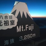 mtfj1