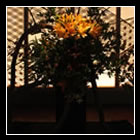 �t�����[�A�[�e�B�X�g�a�c�_��_��i02�~�j