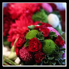 �t�����[�A�[�e�B�X�g�a�c�_��_��i12�~�j