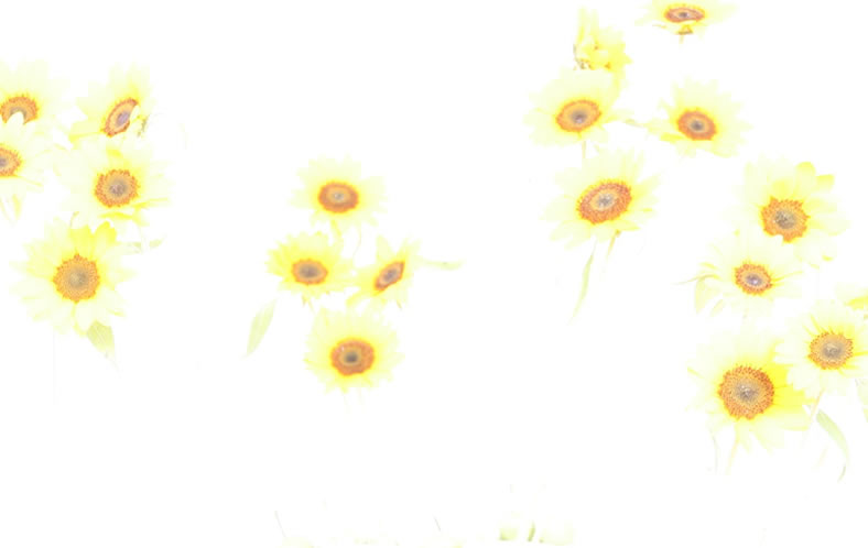 �a�c�_�� �W��i04