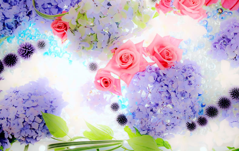 �a�c�_�� �W��i12