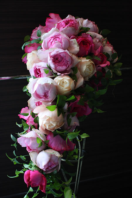 �L���X�P�[�h�u�[�P