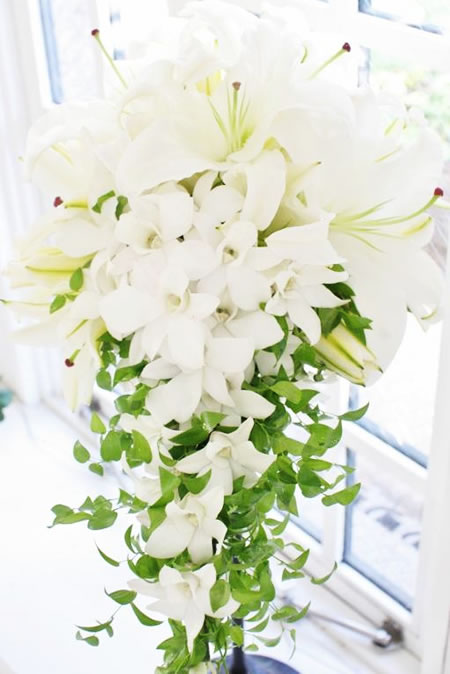 �L���X�P�[�h�u�[�P
