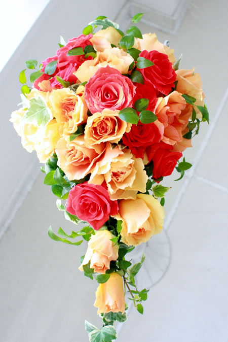 �L���X�P�[�h�u�[�P