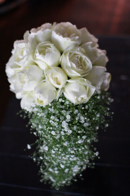 �L���X�P�[�h�u�[�P