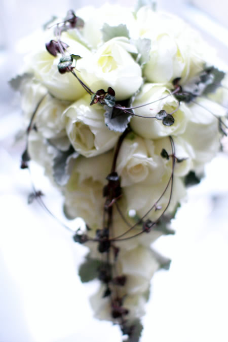 �L���X�P�[�h�u�[�P