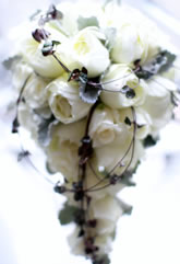 �L���X�P�[�h�u�[�P08