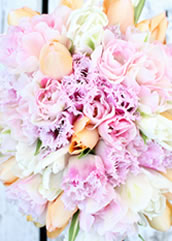 �N���b�`�u�[�P14