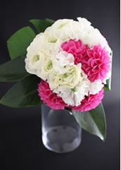 �N���b�`�u�[�P12