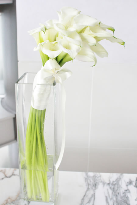 �t���[�X�^�C���u�[�P