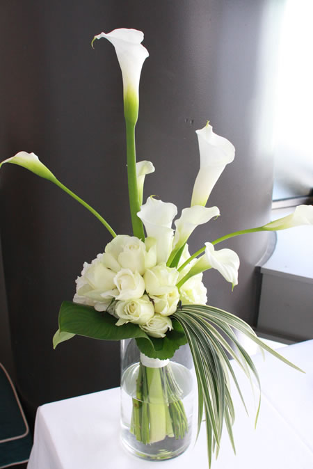 �t���[�X�^�C���u�[�P