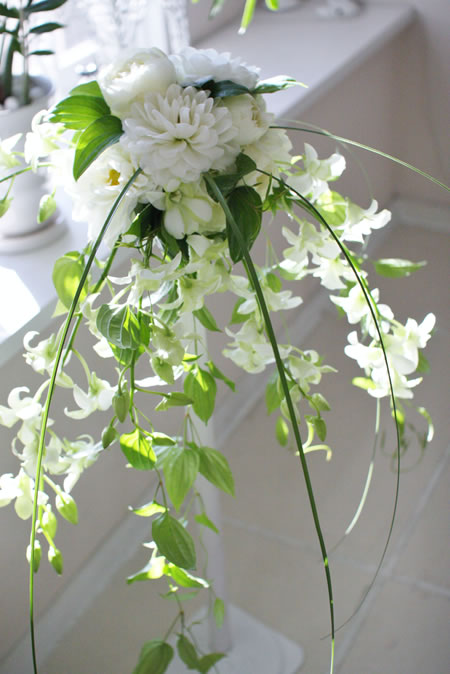 �t���[�X�^�C���u�[�P