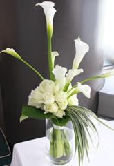 �t���[�X�^�C���u�[�P08