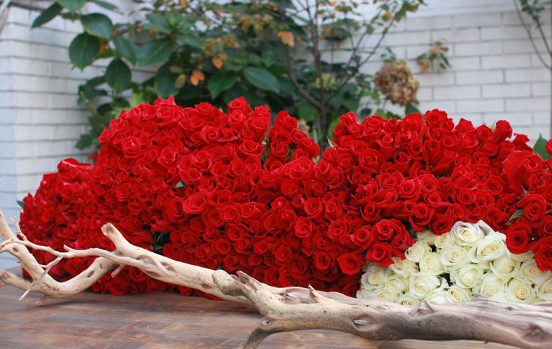 �t�����[�A�[�e�B�X�g�a�c�_��_�}���A�̃p���f�B�[�]01