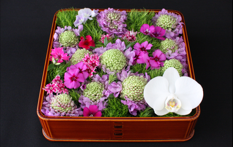 �t�����[�A�[�e�B�X�g�a�c�_��_�}���A�փ��R�l�b�T���X04