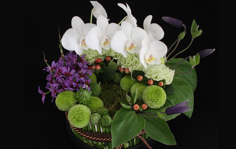 �t�����[�A�[�e�B�X�g�a�c�_��_�a�𑡂�02