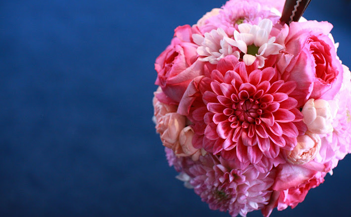 �t�����[�A�[�e�B�X�g�a�c�_��b�{�[���u�[�P
