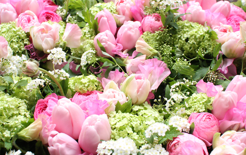 �t�����[�A�[�e�B�X�g�a�c�_��_��̓��X�y�V�����C���[�W
