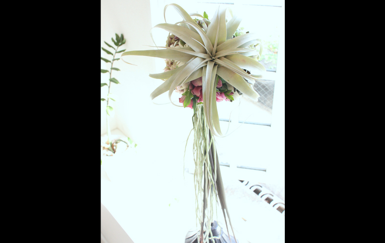 �t�����[�A�[�e�B�X�g�a�c�_��_��i11
