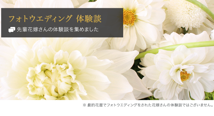 �t�����[�A�[�e�B�X�g�a�c�_��̃E�F�f�B���O����